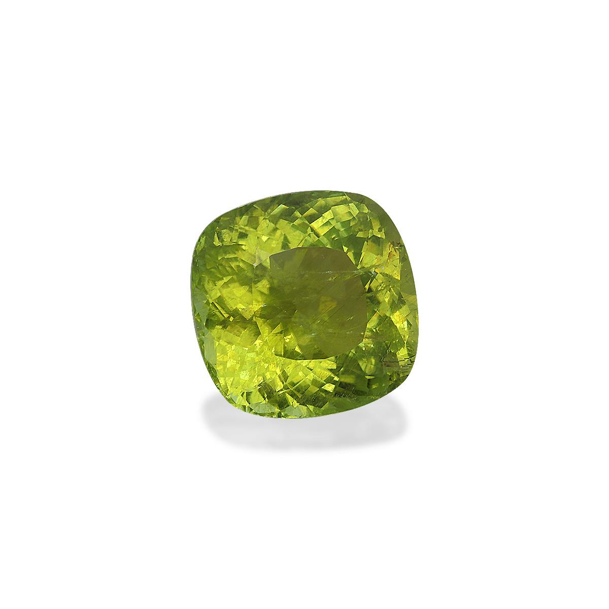 Cuprian Tourmaline 36.91 ct